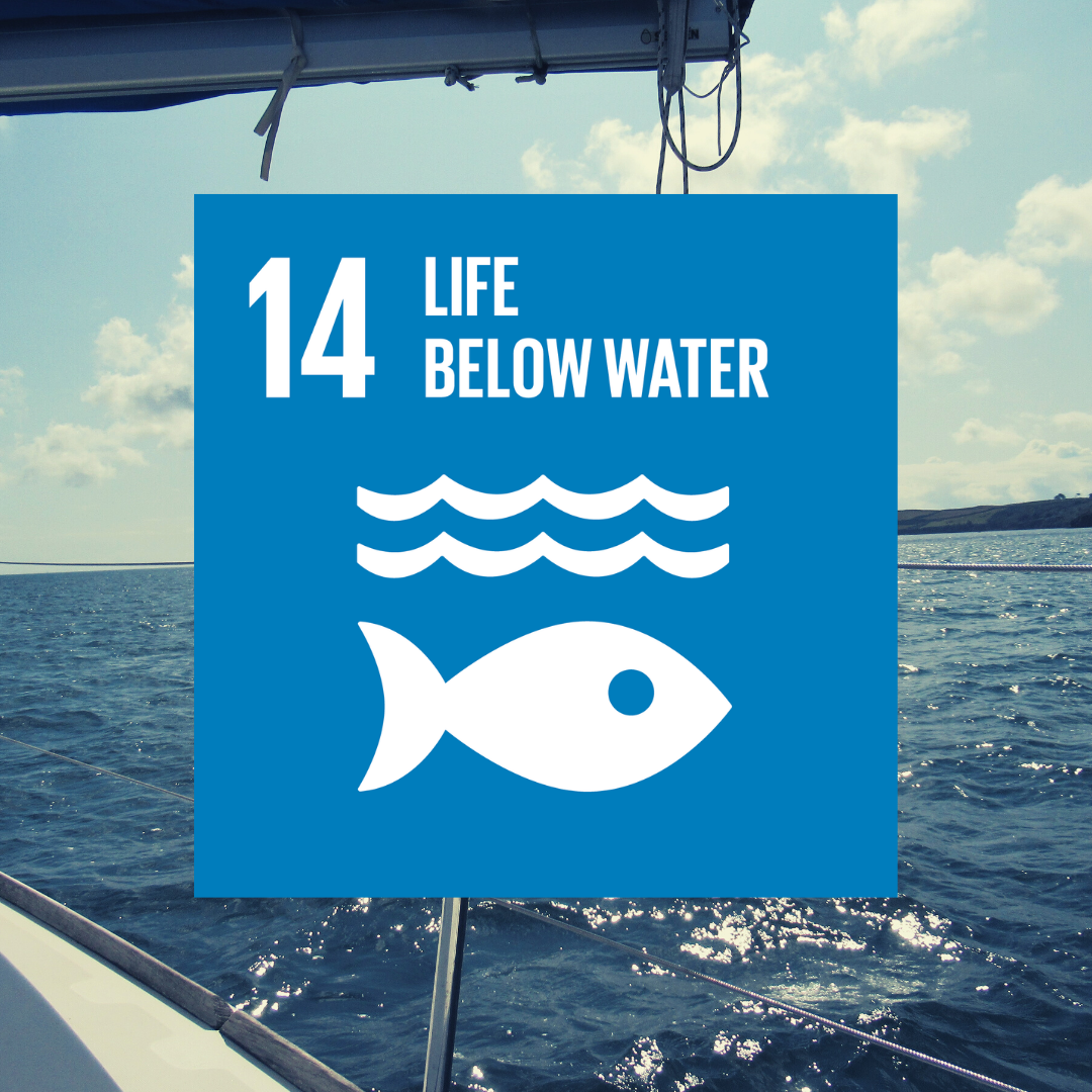 Setting a new course for sustainability
